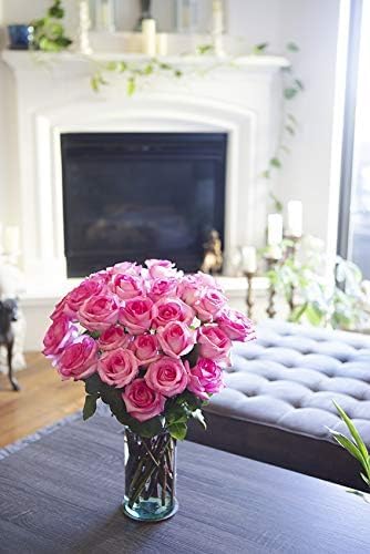 25 Pink Roses | Arabella Bouquets | Real Fresh Flowers for Delivery, Gift for Birthday Women, Congratulations, Anniversary, Thank You, Mother's Day