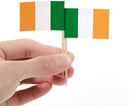 JAVD CYPS 100 Pcs Ireland Flag Irishman Toothpick Flags, Small Mini Stick Cupcake Toppers Irishman Flags,Country Picks Party Decoration Celebration Cocktail Food Bar Cake Flags