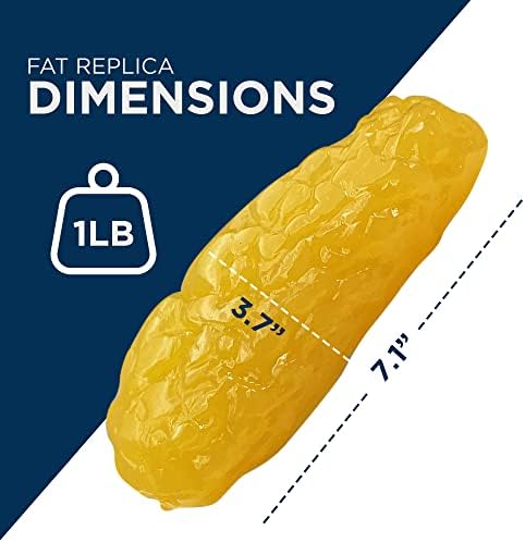 Amazing Human Body Fat Replica 1lb by Evviva Sciences, Realistic Anatomic Fatty Tissue Model Demonstration for Anatomy, Physiology, Science & Technology Students