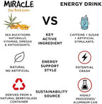 Miracle Sea Buckthorn PERFORM – Organic Sea Buckthorn Juice Drink for Energy, Hydration & Performance– Natural Omega 7 & Antioxidant Support – Pure Sea Buckthorn Berry Natural Focus, Recovery & Antioxidants – No Added Sugar – 10 fl oz Glass Bottle