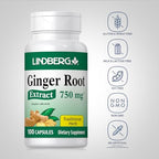 Lindberg Ginger Root Capsules | 100 Count | Non-GMO, Gluten Free Supplement