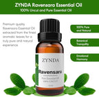 Ravensara Essential Oil Organic & Pure – 100% Natural Aromatherapy Oils for Skin, Hair & Relaxation – Premium Ravensara Essential Oil for Diffuser, Massage & Wellness, Lab Tested – 10ml