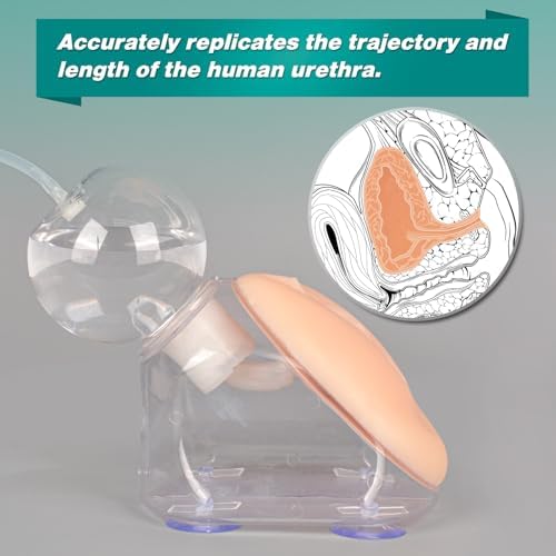 Female Urinary Catheterization Trainer, Urethral Catheterization Insertion Simulator, Urinary Catheter Anatomy Model for Nursing Skills Practice