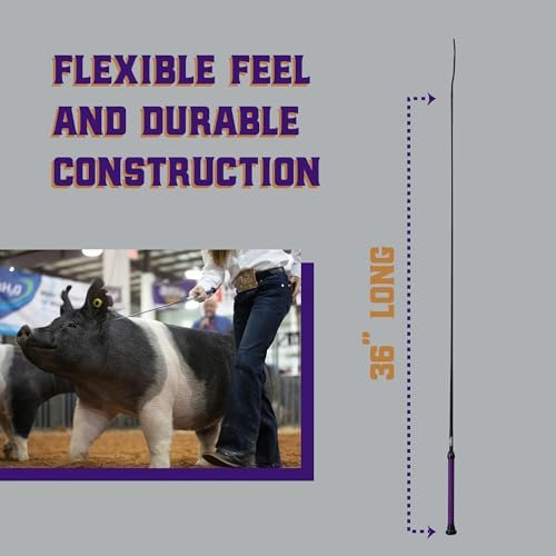 Weaver Livestock Basic Pig Show Whip, Hog Livestock Whip with Braided Nylon Handle, Leather Popper, Lightweight Braided Shaft