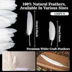 RAINFLOW 150PCS White Goose Feathers - Natural Feathers 4-6inch (10-15cm) Feathers Bulk Feathers for Crafting, Wings, Hat, Decorations, Party, Costume, Halloween, Christmas