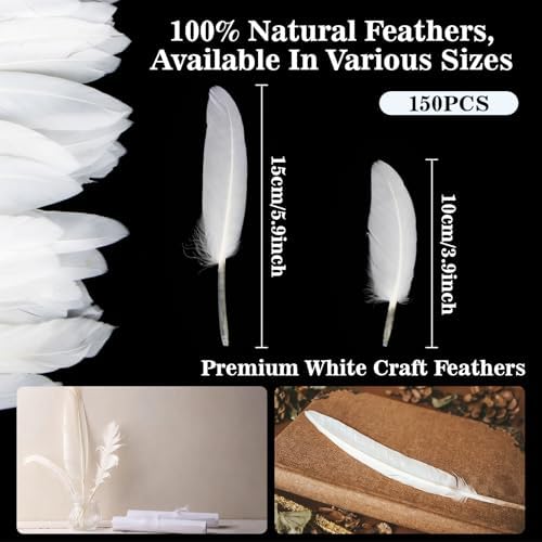 RAINFLOW 150PCS White Goose Feathers - Natural Feathers 4-6inch (10-15cm) Feathers Bulk Feathers for Crafting, Wings, Hat, Decorations, Party, Costume, Halloween, Christmas