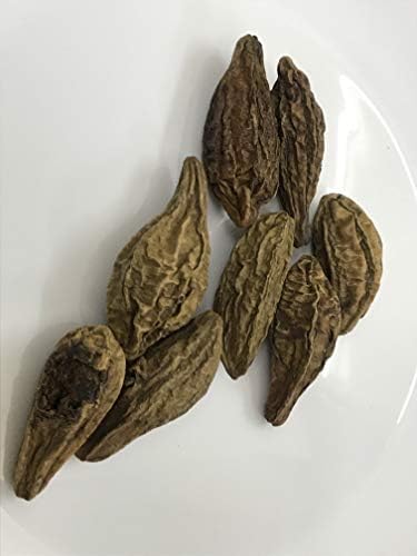 HARAD (Haritaki) Whole / Terminalia chebula / INDIAN AYURVEDA Herbs (20)