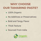 Organic Tamarind Paste, 100% Pure Tamarind Purée (No Additives) | USDA Organic, Non-GMO | 10.93 oz Glass Jar | Smooth, Tangy & Authentic | For Pad Thai, Chutneys, Curries, Sauces & Marinades | Product of India by OSR