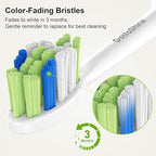 Replacement Toothbrush Heads for Philips Sonicare – Plaque Control, Compatible with Click-on Electric Toothbrush Handles, 12 Pack White (White, Medium)