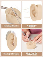 2 Pcs Soft Silicone Ear Model, Left and Right Flexible Fake Ear for Earrings Display, Realistic Ear Model for Piercing Practice, Acupuncture Teaching Tool (Light Skin Tone)
