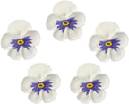 O'Creme Pansy Royal Icing Sugar Flower 1-1/4 Inch - for Cake Decorating - Decorations for Cakes, Cupcake Toppers - Birthday, Wedding, Valentines, Baby Shower - Set of 16 White