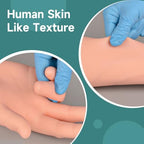 Phlebotomy Practice Kit, IV Practice Arm with Veins, Blood Draw & Venipuncture Training for IV Insertion Practice, IV Injection Practice Kit for Medical Education and Demonstration Only