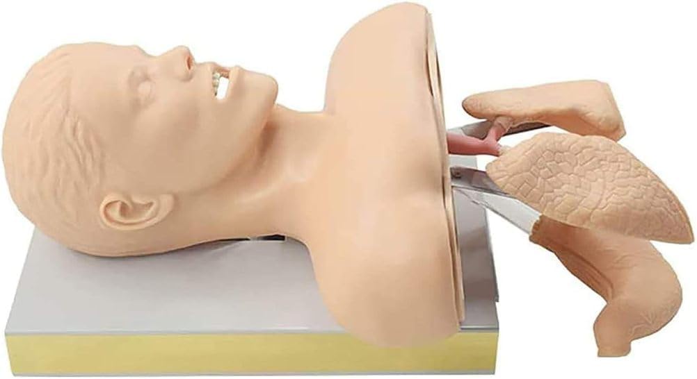 CHROX Electronic Adult Intubation Manikin,PVC Oral Nasal Tracheal Intubation Training Simulator Model with Alarm Function for Science Lab