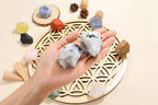 Jovivi 2pcs Raw Rainbow Moonstone Crystals,Large 1.6-2.2" Healing Crystals Natural Rough Stones Crystal for Tumbling, Cabbing, Home Decoration, Polishing, Wicca & Reiki