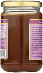 Raw Antioxidant Power Honey YS Eco Bee Farms 13 oz Paste