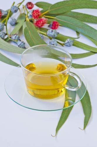 Eucalyptus Dried Whole Leaves, 2 oz, Hojas De Eucalipto, Eucalyptus Herbal Tea 2 oz, Product From India, Packaged in the USA