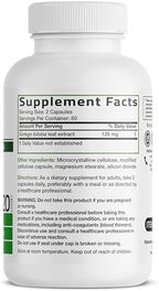 Bronson Ginkgo Biloba Extra Strength Supports Brain Function & Memory Support, 120 Vegetarian Capsules