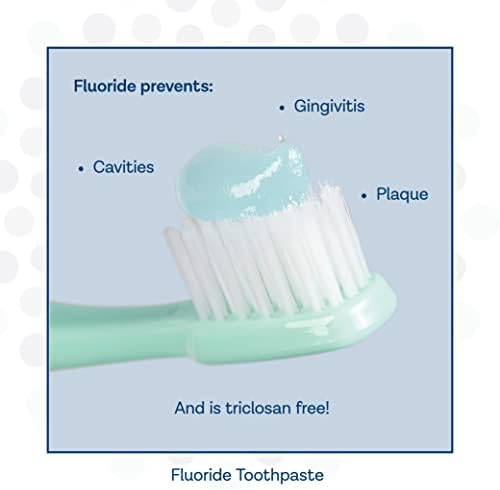 PRO-SYS® Mint Fluoride Toothpaste Gel, ADA Approved, Prevents Cavities, Gingivitis, and Plaque, Pack of 3