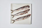Nettuno Salted Anchovies – Cetara, Campania, Italy - 14.8 oz