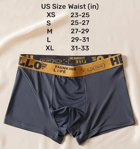 Men's Breathable Boxer Briefs Ice Silk Underwear,10-Pack