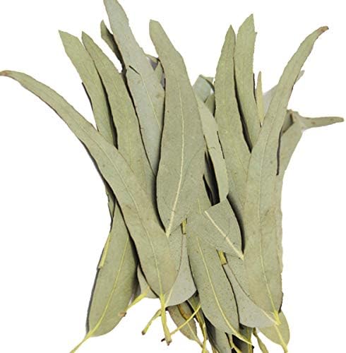 Whole Eucalyptus Leaves, Natural Eucalyptus Herb Leaves, 114g (4.0 oz)
