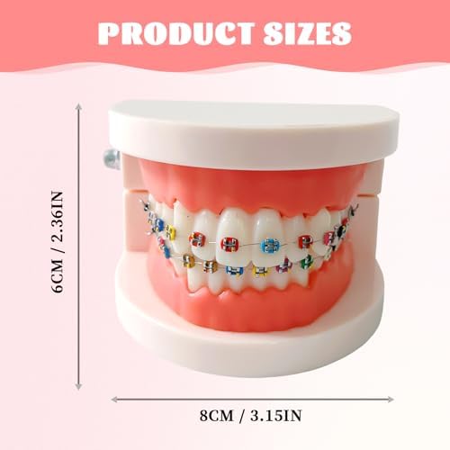 Dental Orthodontic Teeth Model with Colorful Braces, Professional Denture Mouth Model Demonstration Study Tool for Dentistry Students and Orthodontists, Tooth Teaching Equipment with Bracket Supplies