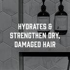 TRIUMPH & DISASTER | Shampoo, Deep Cleansing - Soothes & Hydrates Sensitive, Dry and Damaged Hair & Scalp with Keratin for Men & Women, 16.9 fl oz