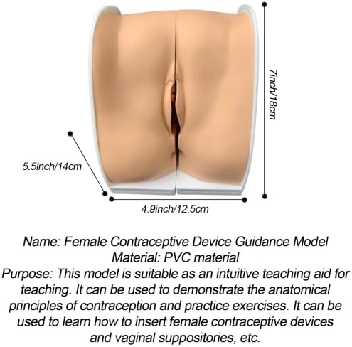 DRXRD IUD Training Model Female Gynecological Manikin Model Female Genitals Anatomy Model with Accurate Anatomy Structure Suitable for Intuitive Teaching & Practical Operation