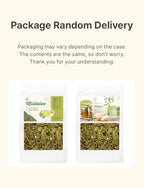 Dried Mistletoe 2oz (57g) Viscum Album 100% Natural Herb Tea Hujisheng No Additives Vegan Friendly Dried Mistletoe 100% Caffeine-Free Herbal Tea, Traditional Herbal Ingredient