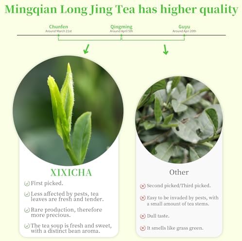 XIXICHA Longjing Green Tea Loose Leaf New Longjing Tea Dragon Well Dragonwell Tea Chinese Green Tea Lung Ching Premium Bean Aromatic All-natural and free of additives 4.23oz/120g（96 cups）龙井 绿茶 明前采摘
