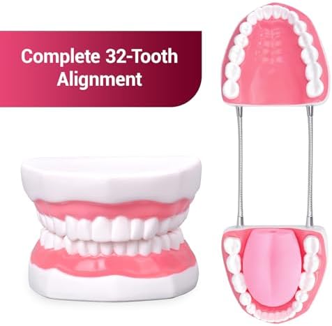Ultrassist Ultrassist Mouth Model Metal Hinge for Speech Therapy, Ideal Brushing Teaching Dental Teeth Model for Kids and Children, 6 Times Enlarge, Includes Toothbrush