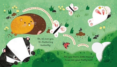 Are you there little Bunny: A Hide-and-Seek Interactive Book Featuring Fun Activities with Little Bunny, Perfect for Easter (Little Peek-Through Books)