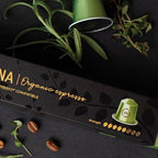 Bologna Organic Italian Espresso for Nespresso | 100 Organic Aluminum Capsules | Eco-Friendly Medium Roast | 100% Nespresso Compatible Pods | Fairtrade Coffee
