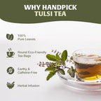 HANDPICK Original Tulsi Tea (100 count) Holy Basil Tea | Non-GMO, Caffeine-Free Herbal Tea | Ecofriendly Round Tea Bags