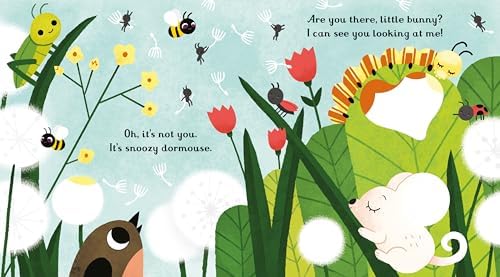 Are you there little Bunny: A Hide-and-Seek Interactive Book Featuring Fun Activities with Little Bunny, Perfect for Easter (Little Peek-Through Books)