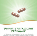 Nature's Way Resveratrol, Supports Antioxidant Pathways*, Helps Neutralize Free Radicals*, with Polyphenols from Red Wine Extract, 75mg per 2-Capsule Serving, Vegan, 60 Capsules (Packaging May Vary)
