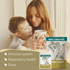 Elderflower Tea Organic (4oz.) - Elder Flowers Dried Herb for Respiratory Health - Loose Leaf Medicinal Tea