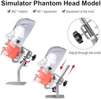 Global-Dental Simulator Manikin Phantom Head Model Teeth Dentist Educational Teeth Teaching Model with 28Pcs Fix on (Table Stand Type)