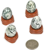 Justinstones Tree Agate Natural Gemstone Quartz 30mm Egg Shaped Crystal Healing Chakra Energy Balancing Meditation Home Office Decor Stone with Stone Stand
