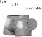 Mens Nylon Mesh Magnetic Therapy Health Care Breathable Inner Pants Underwear Briefs