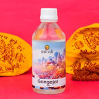 Satvik 100 ml Pure And Natural Unfiltered Holy GangaJal Water, Sudh Ganga Jal Water From Haridwar for Pooja, Vastu, Purity for Home And Office (100 ML, GANGA JAL)