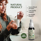 Beelife Organic Green Propolis Extract - High Artepillin-C Levels, Antioxidant-Rich Supplement for Overall Wellness - Natural & Kosher-Friendly - Made in Brazil, 1 Fl. Oz.