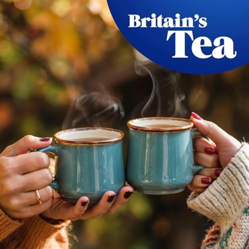 Tetley - Original Tea Bags 240 - 750g