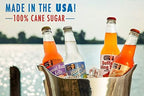 Lester's Fixins Outrageous Wild Crazy Unique Flavor Soda Pop 6 Pack Sampler Set