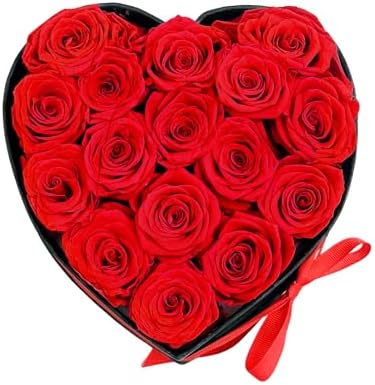 Preserved Roses Heart Shape Box Valentines Day Gifts for Her Mothers Day Forever Flowers (Red, 16 Roses)