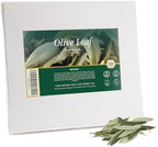 MIXYWAY – Olive Leaves (Loose Leaves) – 1.76 oz (50 g) – Premium Quality – Naturally Dried – Herbal Tea Leaves for Brewing