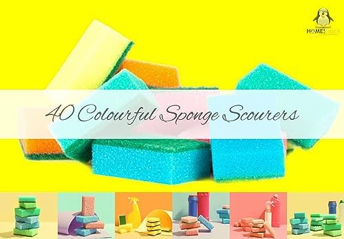 Dual Sided Dish Washing & Cleaning Sponges-Absorbent, Non-Scratch, Reusable Scourers-2 x 20 Packs, Foam, Mix Colours