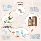 AKARZ 100ml Amyris Essential Oil Natural Amyris Oil Pure for Candle Making,DIY Skincare Products Massage,Home Spa Relaxation