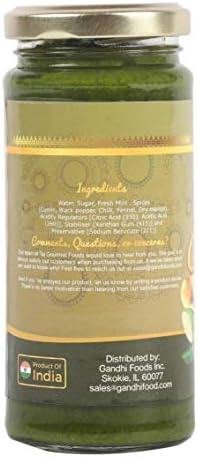 TAJ Mint Chutney | Fresh Mint Chutney | Pudina Chutney | (250g)