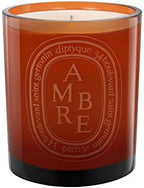 Diptyque Ambre Scented Candle, 10.2 Ounce (187856)